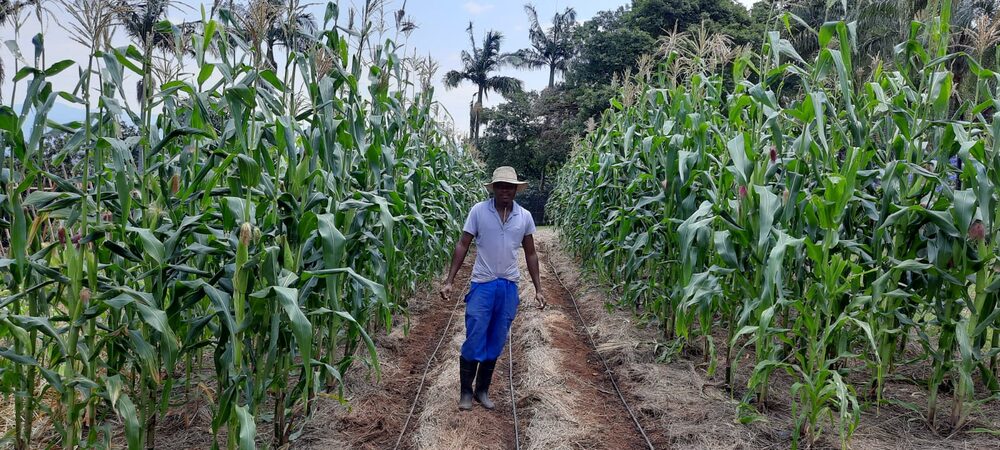 Teaching sustainable farming methods