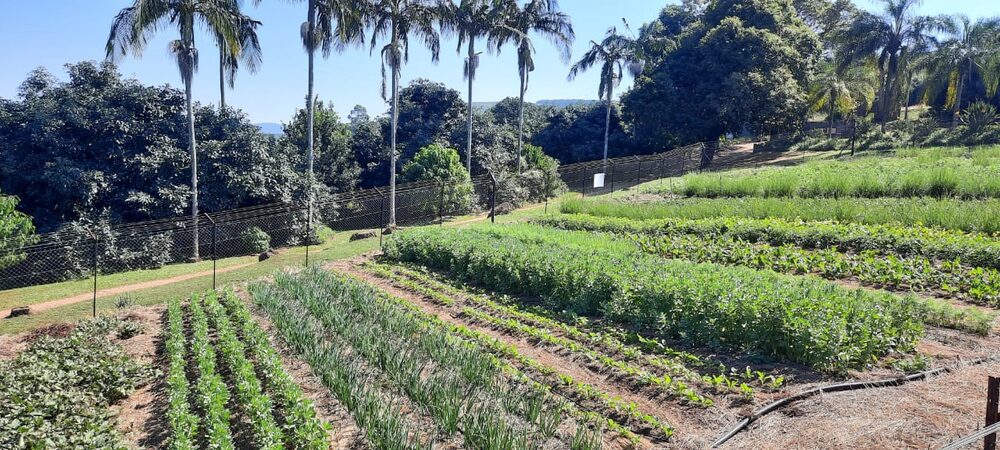 Equipping the poor to farm sustainably
